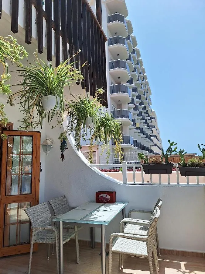 Ocean Breeze Apartment Costa Adeje  0*, Costa Adeje (Tenerife) Spain
